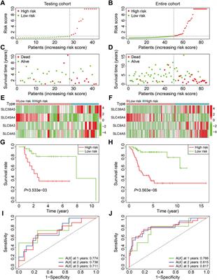 Identification of a Solute Carrier Family-Based Signature for Predicting Overall Survival in Osteosarcoma